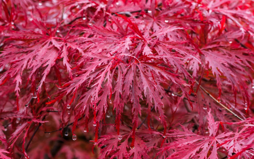 1672498 (a): :2560x1600